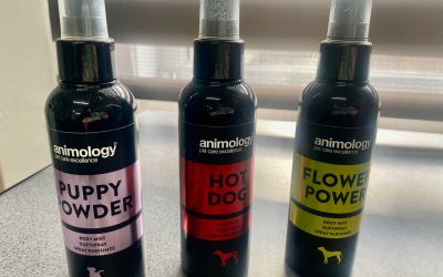 Doggy Cologne – £7.50