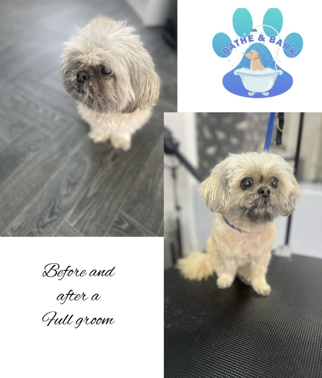 Dog Groomer Darwen