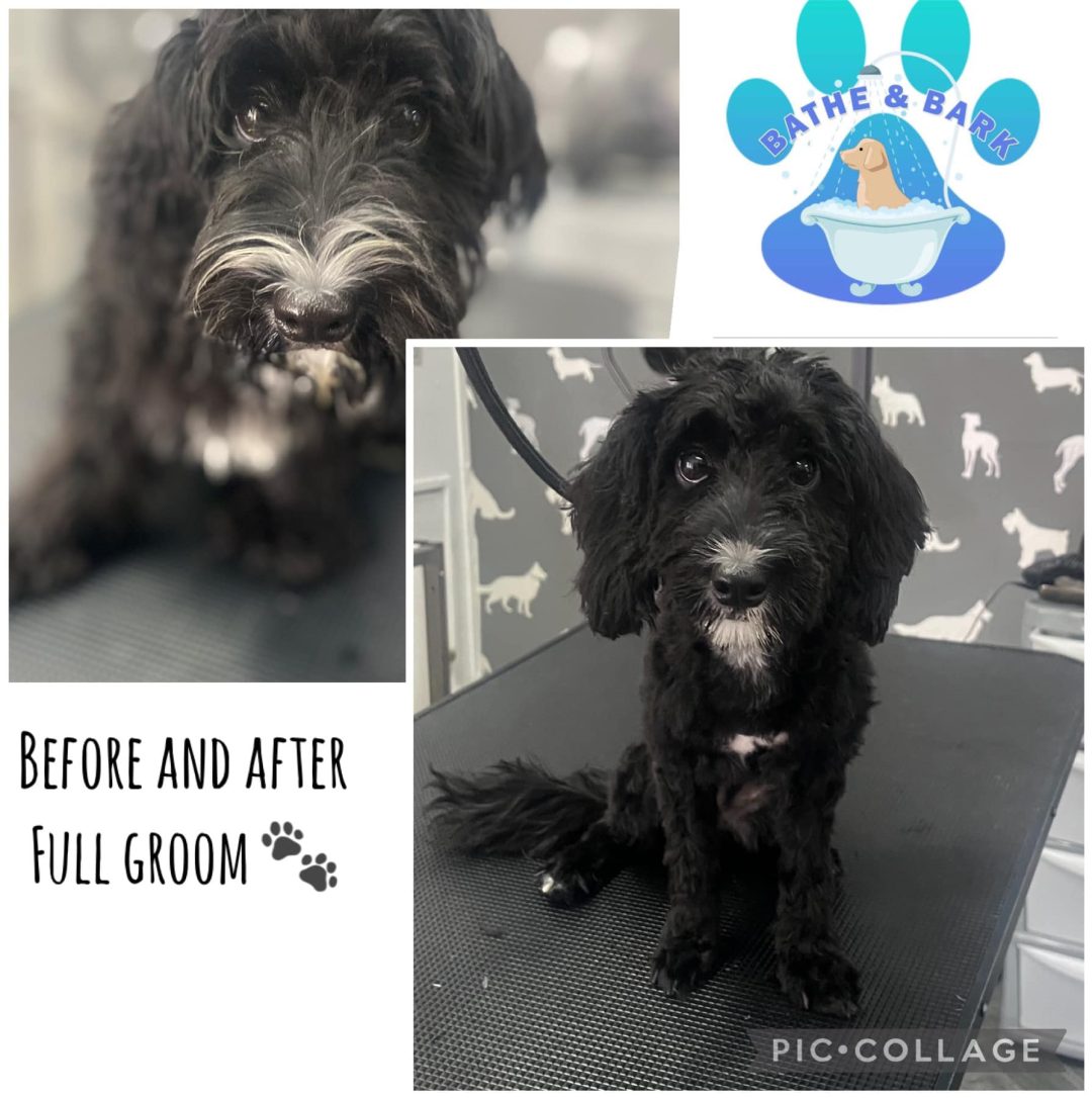 Grooming Services Blackpool