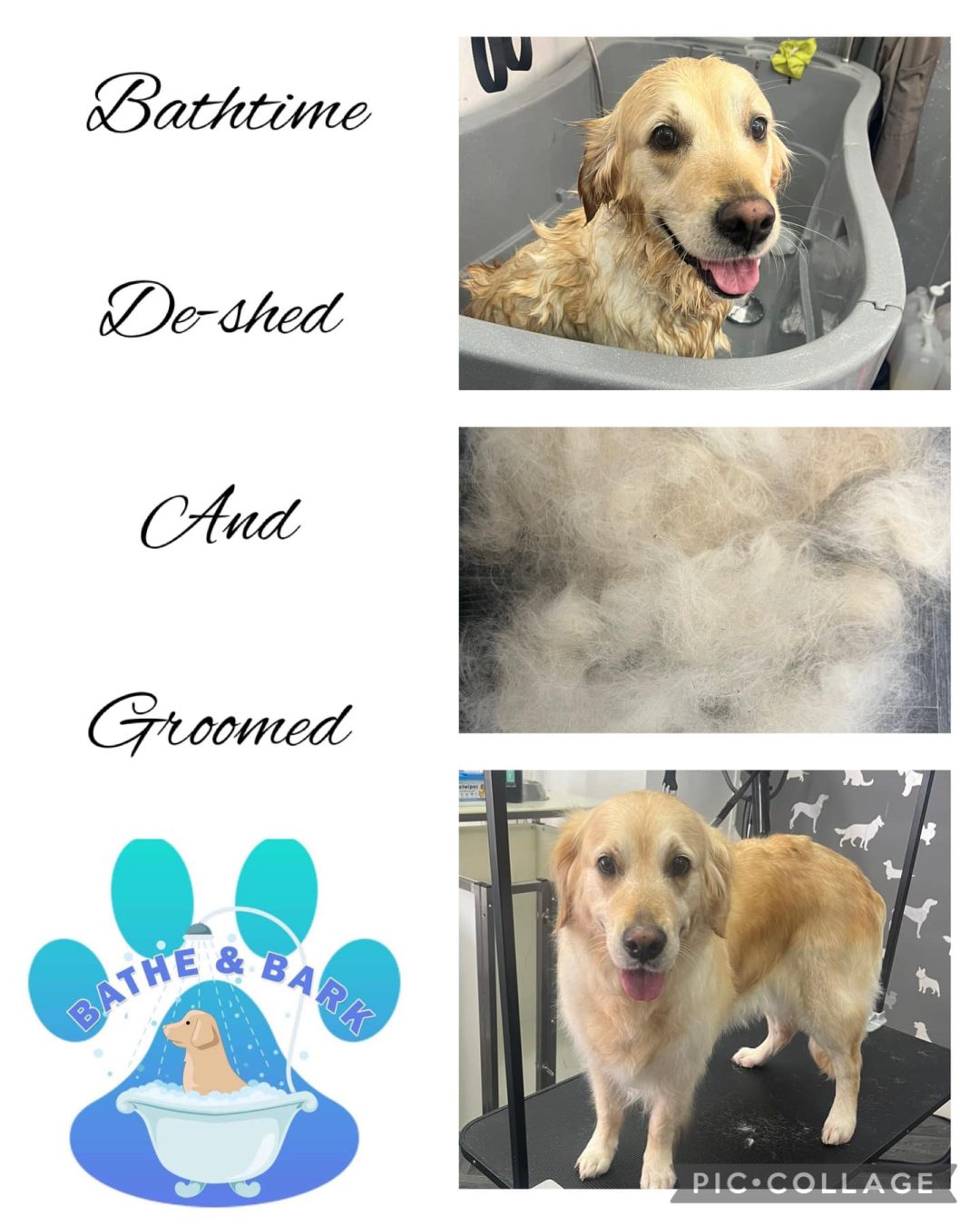 Dog Groomer Burscough