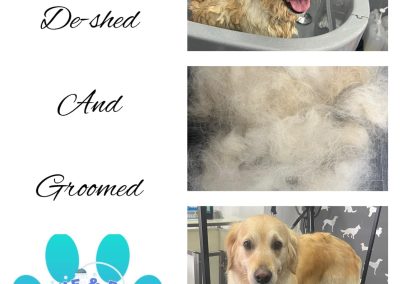 Dog Groomer Burscough