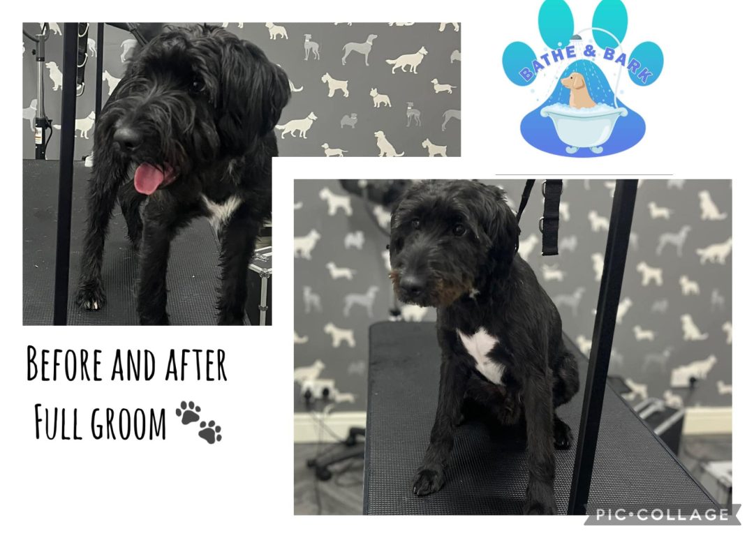 Grooming Services Chorley