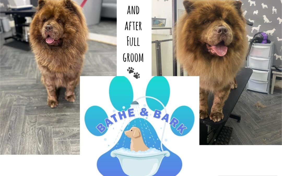 Grooming Services Blackburn