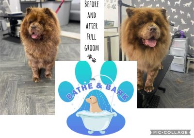 Grooming Services Blackburn