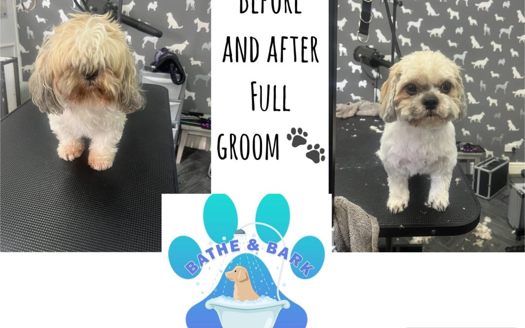 Grooming Services Euxton