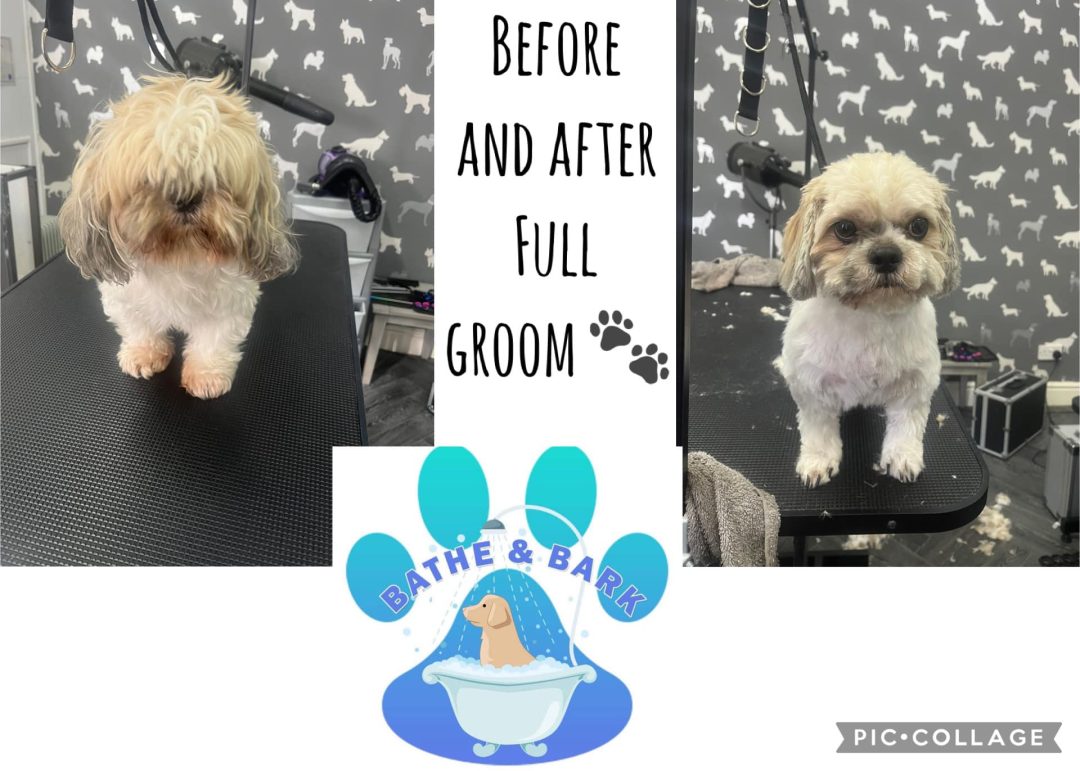 Grooming Services Euxton