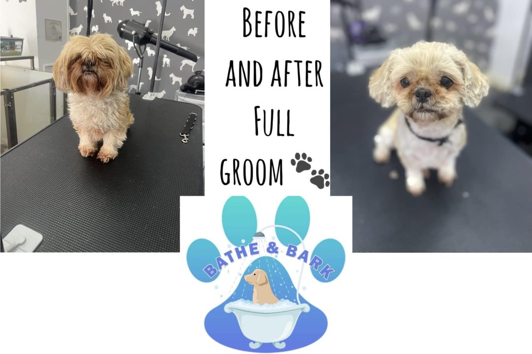 Dog Grooming Blackpool