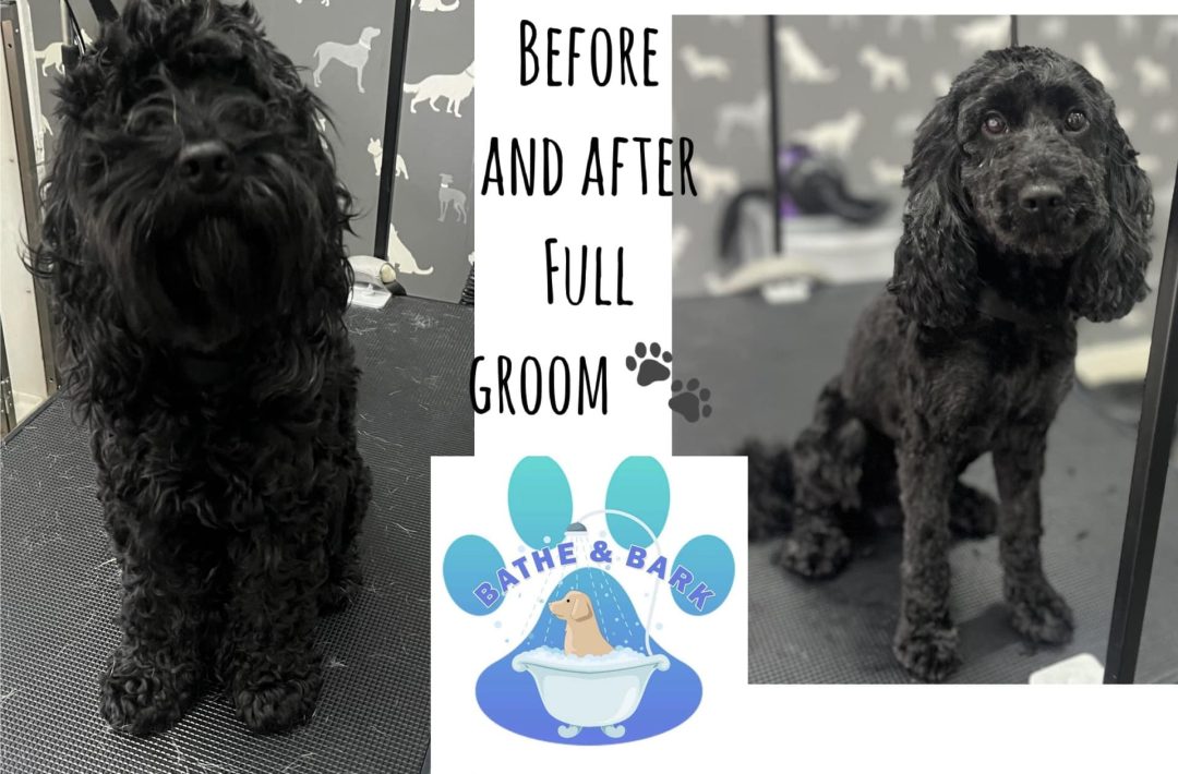 Dog Grooming Freckleton